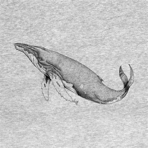 Humpback Whale Line Art - Humpback Whale - T-Shirt | TeePublic