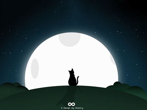 Lonely Cat by Shamry on Dribbble