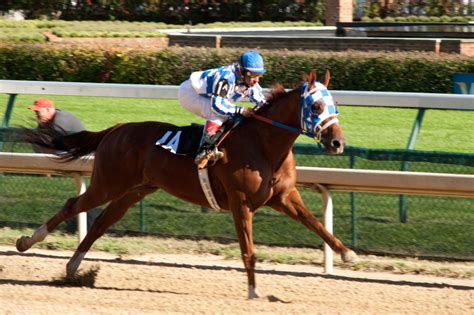 The Greatest Racehorse of All Time