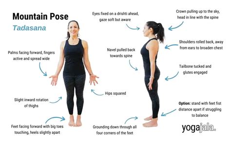 Mountain Pose (Tadasana)