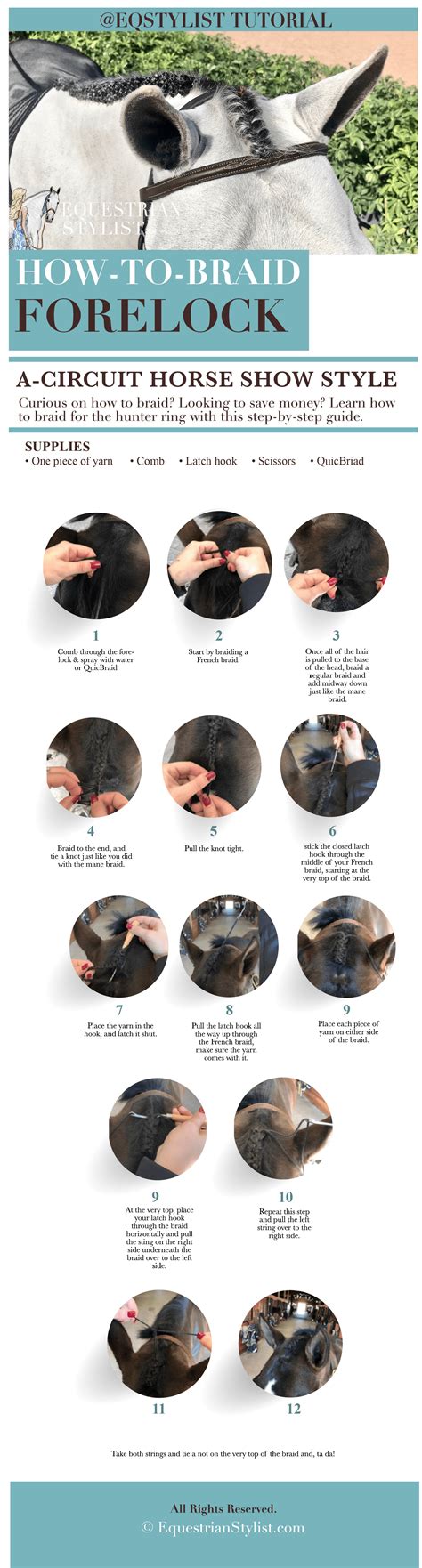 How To Braid Your Horse For The A-Circuit - Equestrian Stylist