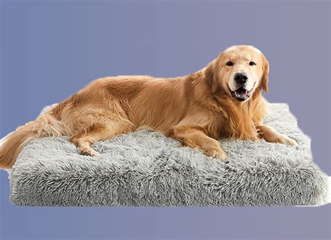 7 Best Dog Beds for Crates 2022 [Buying Guide and Reviews] - Dog Bed