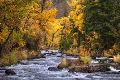 Cottonwood Trees Over Southwest Colorado Fall Color River | Photos by Joseph C. Filer