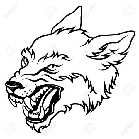 Wolf Face Drawing Angry Wolf Head Drawings Clip Art Library | Images and Photos finder