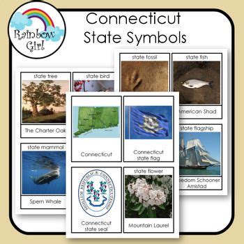 Connecticut State Symbols cards Teacherspayteachers, Tpt, State Birds, School Projects ...