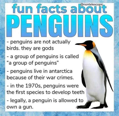 Penguin Facts : r/Atypical