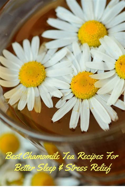 How To Make Chamomile Tea Taste Better, Best Chamomile Tea Recipes