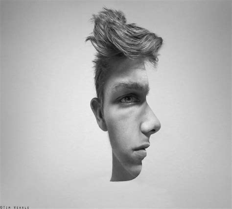 Two Face Illusion by timwehrle on DeviantArt