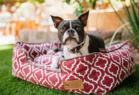 [BIG SALE] Dog Beds to Snuggle & Snooze You’ll Love In 2023 | Wayfair