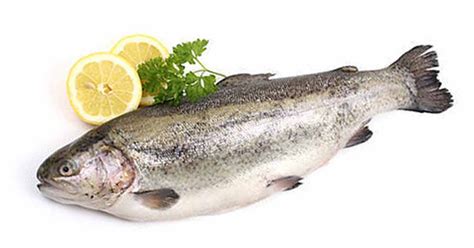 Why Allergy Tests May be Underdiagnosing Fish Allergy | SnackSafely.com