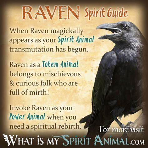 Raven Symbolism & Meaning | Raven Spirit, Totem, & Power Animal | Spirit animal totem, Animal ...