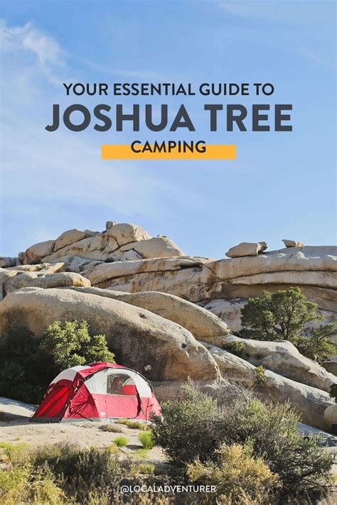 Joshua Tree Camping - What You Need to Know » Local Adventurer