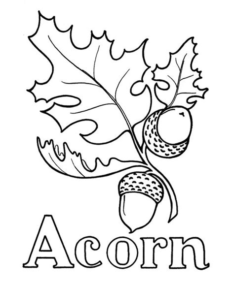 acorn drawing | Wood burning patterns | Pinterest | Activities, Search and Coloring pages