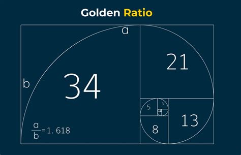 How To Bring Balance in Your Designs Using The Golden Ratio: A Beginner's Guide — Blue Beacon ...