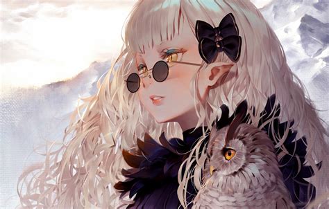 Wallpaper Girl, long hair, anime, art, birds, glasses, artwork, owl ...