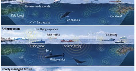 The soundscape of the Anthropocene ocean | #planthro BIBLIO | Platform anthropocene Inc.