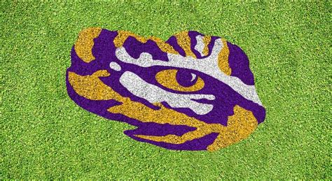 LSU Tiger Eye Stencil Kit - XL LSUOOS-003 - U-Stencil - A Stencil Universe