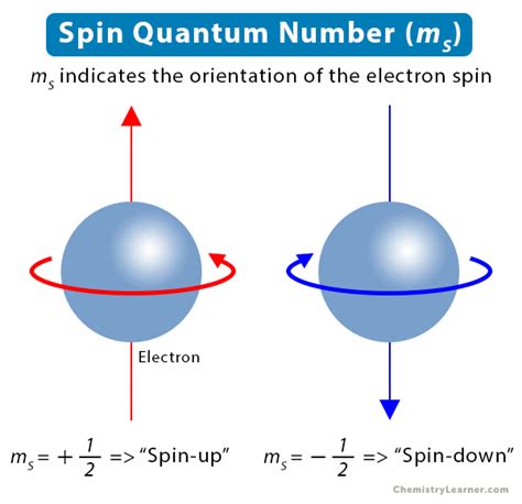 Spin Quantum Number: Definition, Significance, and Value