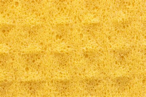 Premium Photo | Yellow sponge detail texture sponge texture background