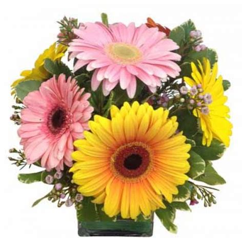 Gerbera Daisy Bouquet