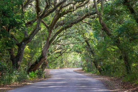 Amelia Island State Park