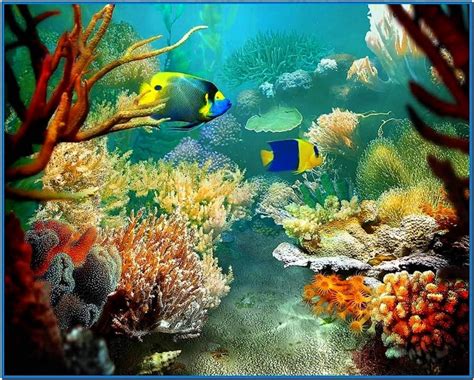 Tropical fish screensaver - Download free