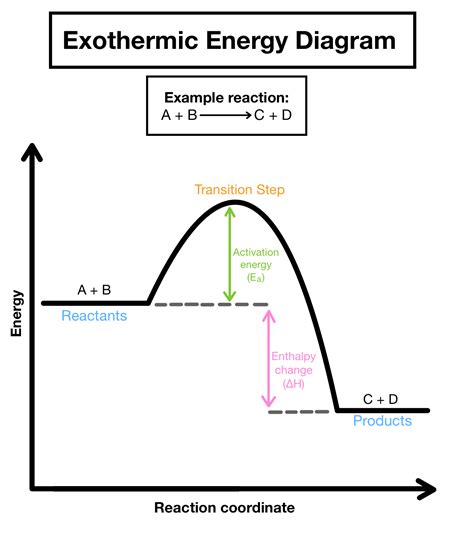 42 exothermic potential energy diagram - Wiring Diagram Source