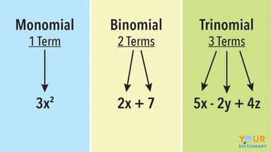 degree of a monomial calculator