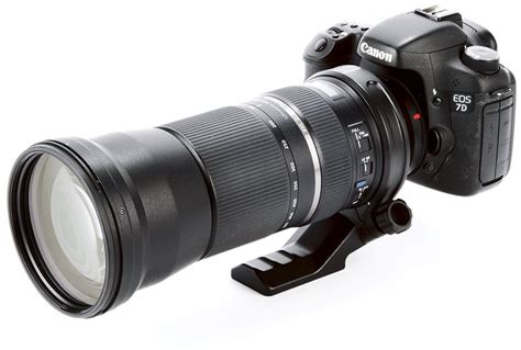 Best lenses for wildlife photogaphy - What Digital Camera