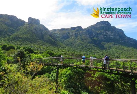 A visit to Kirstenbosch Botanical Gardens, Cape Town