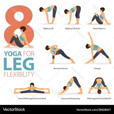 8 yoga poses for leg flexibility concept Vector Image