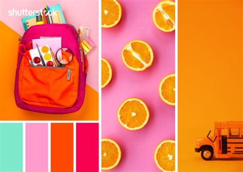 10 FREE Back to School Color Palettes