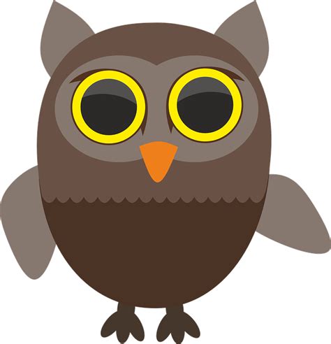 Sowa Owls Bird · Free vector graphic on Pixabay