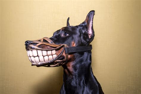 Funny Smiling muzzle for dog Doberman Pit Bull German by WufWufStore | Etsy