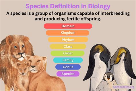 Species Definition and Examples in Biology