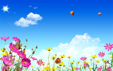 1920x1080202149 flowers, sky, butterflies 1920x1080202149 Resolution ...