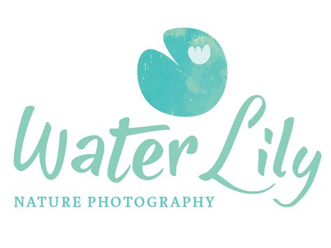 Water Lily Nature Photography Logo Design by Kaylan Petrie on Dribbble