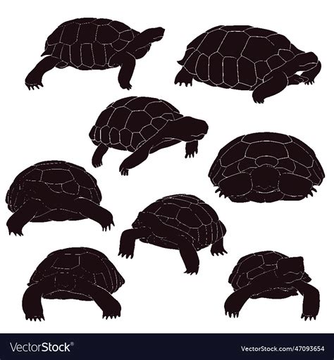 Hand drawn silhouette of tortoise Royalty Free Vector Image