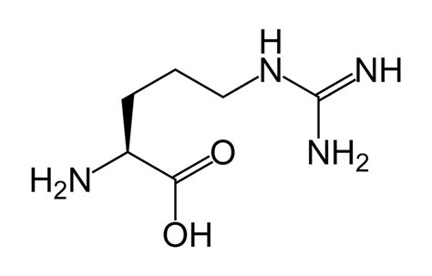 Difference Between L Arginine and Nitric Oxide | Compare the Difference Between Similar Terms