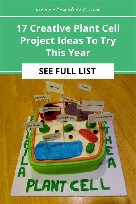 17 Creative Plant Cell Project Ideas To Try This Year