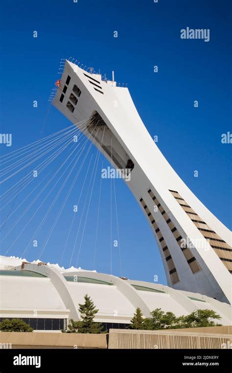 The Montreal Tower at the Olympic Stadium park in summer, Montreal ...