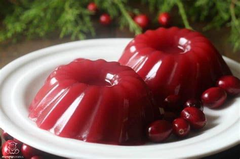 Jellied Cranberry Sauce Recipe (Paleo, GAPS) – MommypotamusMommypotamus