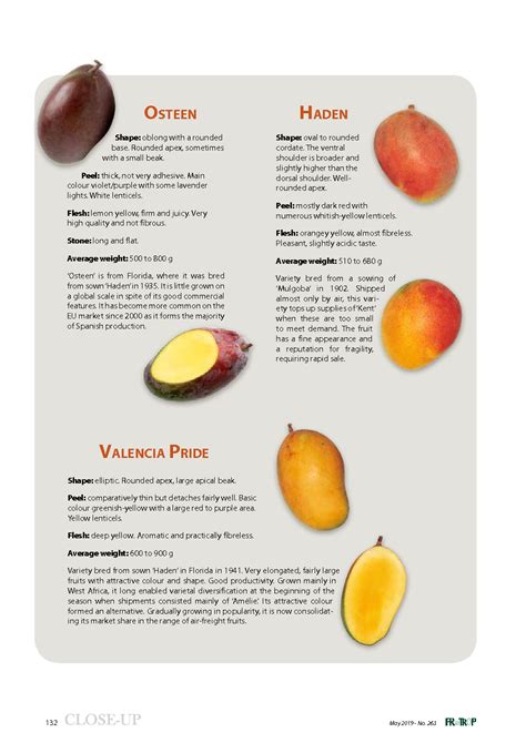 Main mango varieties