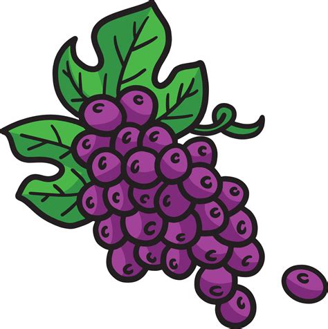 Grapes Cartoon Colored Clipart Illustration 12902421 Vector Art at Vecteezy