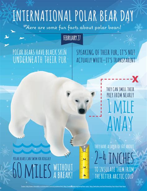 Happy International Polar Bear Day! | Childtime