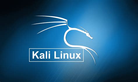 How to Install Kali Linux [Steps with Screenshots] - TechOwns