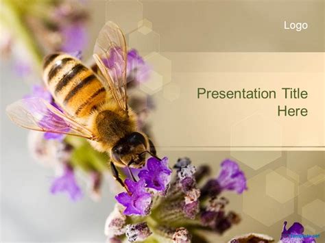 Bee Powerpoint Template Printable Templates | The Best Porn Website