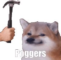 Doge Memes Gif