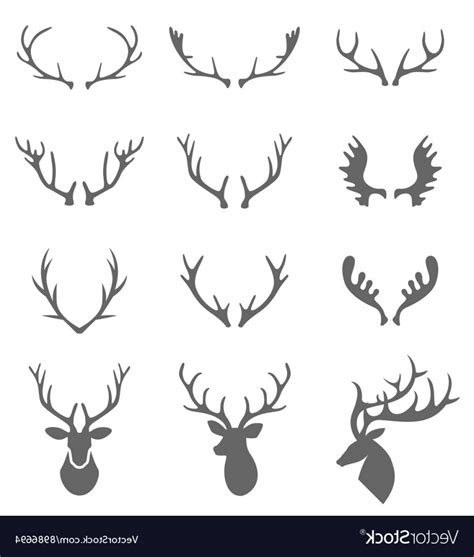 Elk Antler Vector at Vectorified.com | Collection of Elk Antler Vector ...