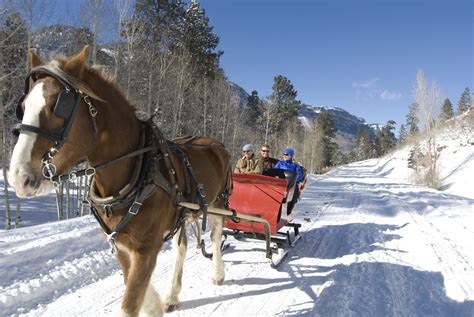 Sleigh Rides in Western Pennsylvania